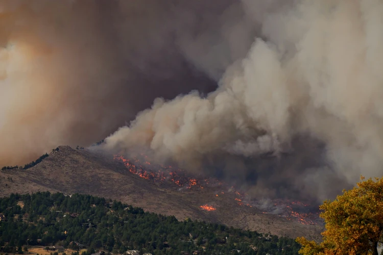 Emission of biomass burning aerosols